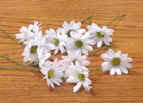 Daisies