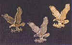 Eagle  w/ Barbed Wire Pin